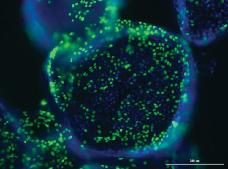 Ayrshire Life Science Company Launch Advanced Scientific Technology to Support Successful Drug Development
