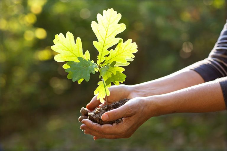 Unlocking Potential – there is great wisdom in starting your journey to success one step at a time
