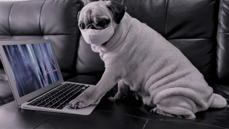 Your Remote Workforce