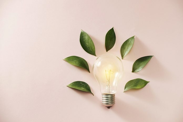 Eco green energy concept bulb, lightbulb leaves on pink background.