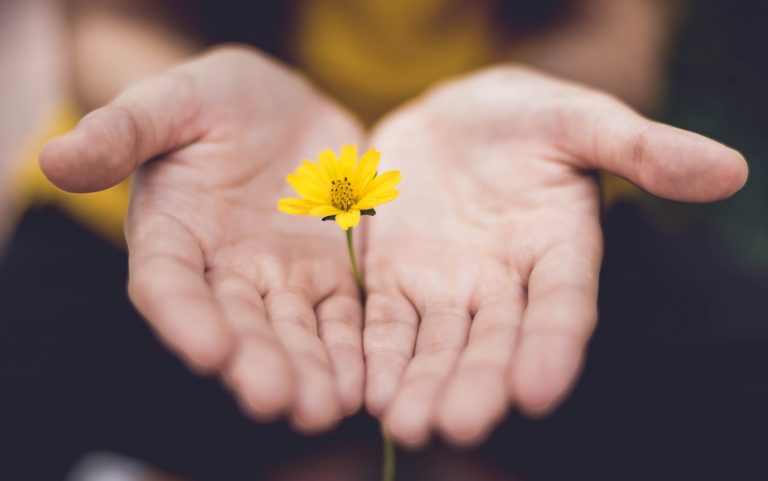 Eco-friendly business: putting Nature on the board