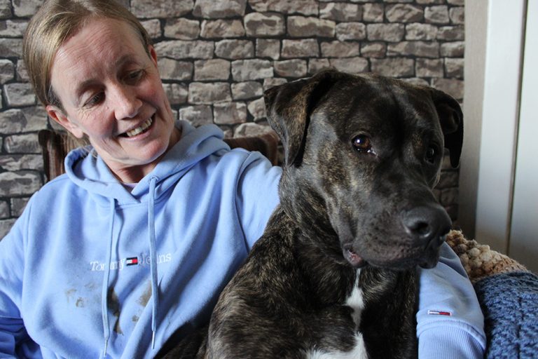 Scottish SSPCA: join the rescue!