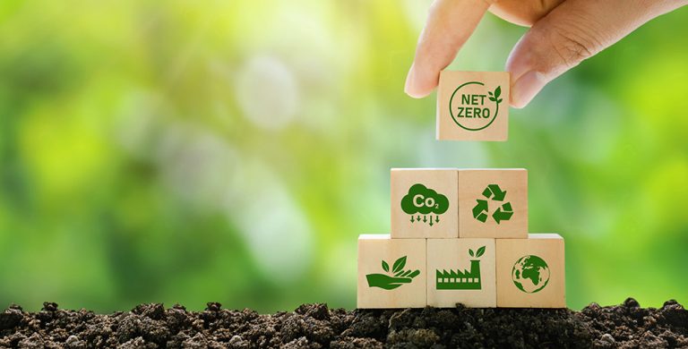 Why Net Zero is a growth opportunity for business