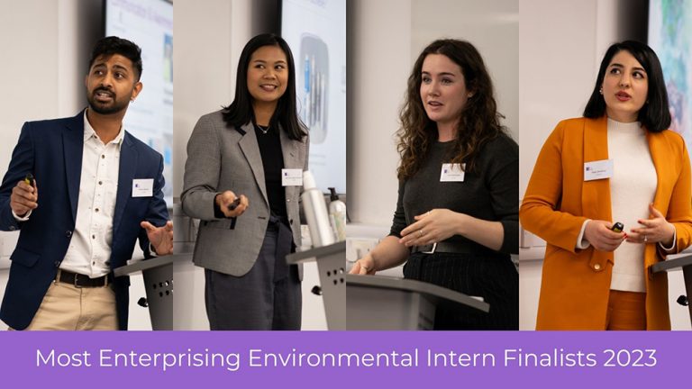 Graduate Interns can help your business
