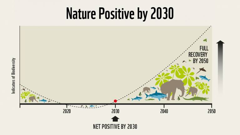Emiel’s Food Forest: Developing the business case for becoming nature positive